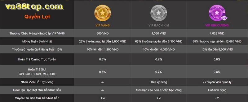 VN88 VIP - Câu lạc bộ VIP của những người chơi đẳng cấp