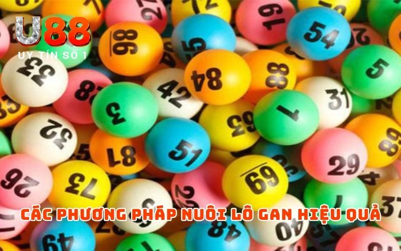 Phương Pháp Nuôi Lô Gan | Top 3+ Hình Thức Soi Cầu Hiệu Quả Phương Pháp Nuôi Lô Gan | Top 3+ Hình Thức Soi Cầu Hiệu Quả