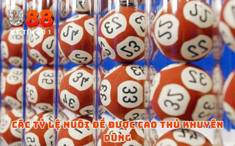 Song Thủ Lô Nuôi Khung 2 Ngày - Mẹo Chơi Dễ Đánh, Dễ Trúng Song Thủ Lô Nuôi Khung 2 Ngày - Mẹo Chơi Dễ Đánh, Dễ Trúng