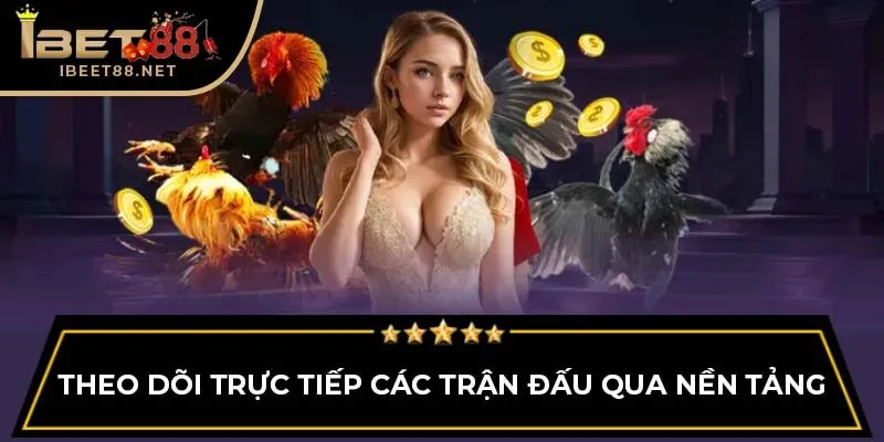 Đá Gà Ibet88: Khám Phá Thế Giới Đá Gà Trực Tuyến