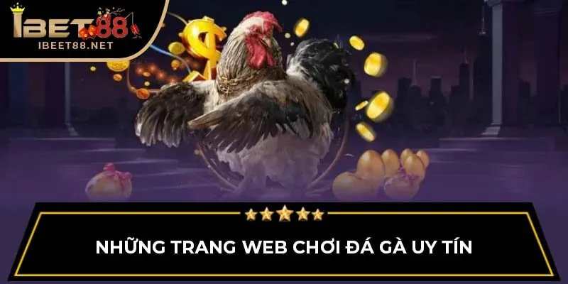 Đá Gà Trực Tiếp: Tổng Quan Cho Người Mới Bắt Đầu Tại Ibet88
