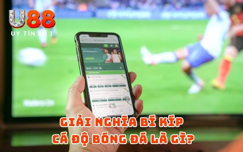 Bí Kíp Cá Độ Bóng Đá Chắc Ăn Năm 2026 - Trúng Lớn 100% Bí Kíp Cá Độ Bóng Đá Chắc Ăn Năm 2026 - Trúng Lớn 100%