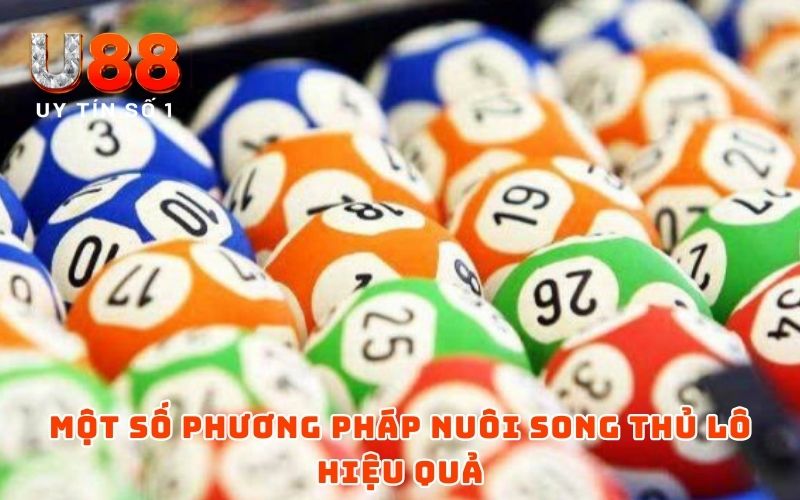 Song Thủ Lô Nuôi Khung 2 Ngày - Mẹo Chơi Dễ Đánh, Dễ Trúng Song Thủ Lô Nuôi Khung 2 Ngày - Mẹo Chơi Dễ Đánh, Dễ Trúng