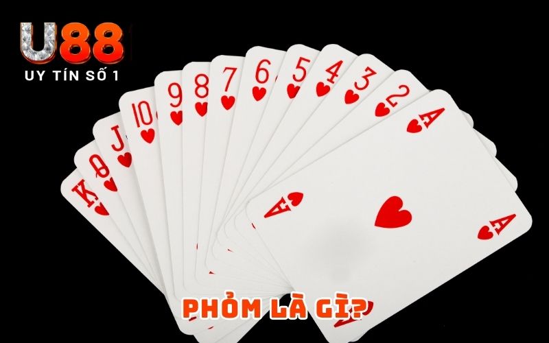 Bí Quyết Chơi Phỏm Chéo Cánh Cùng Mẹo Hiệu Quả Từ Chuyên Gia Bí Quyết Chơi Phỏm Chéo Cánh Cùng Mẹo Hiệu Quả Từ Chuyên Gia