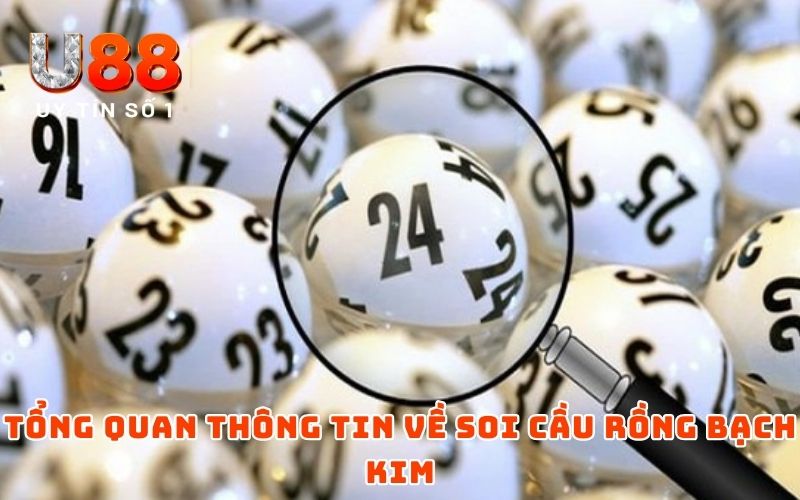 Soi Cầu Rồng Bạch Kim - Xu Hướng Cá Cược Mới Trong 2026 Soi Cầu Rồng Bạch Kim - Xu Hướng Cá Cược Mới Trong 2026