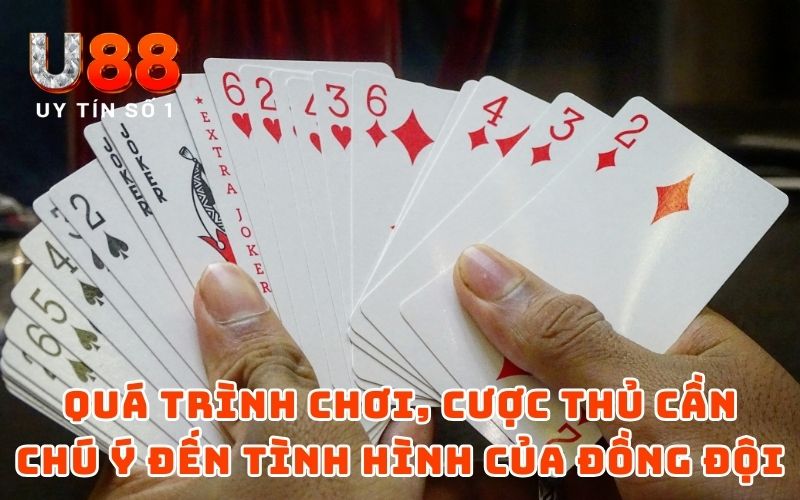 Bí Quyết Chơi Phỏm Chéo Cánh Cùng Mẹo Hiệu Quả Từ Chuyên Gia Bí Quyết Chơi Phỏm Chéo Cánh Cùng Mẹo Hiệu Quả Từ Chuyên Gia